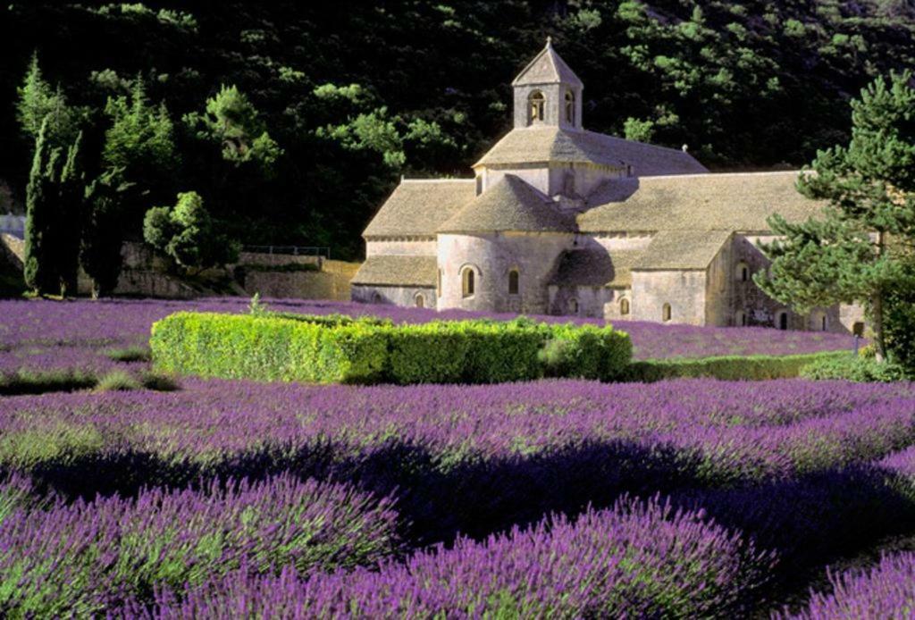 Villa Au Bastidon De Gordes Extérieur photo